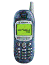 Best available price of Motorola T190 in Montenegro