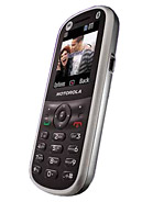Best available price of Motorola WX288 in Montenegro