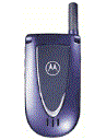 Best available price of Motorola V66i in Montenegro